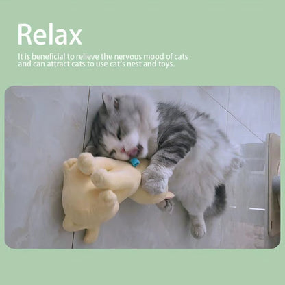 Catnip Bliss Spray – Natural Mood Booster for Happy, Relaxed Cats