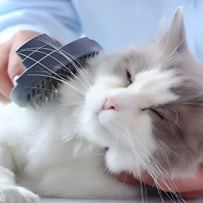 Self-Cleaning Pet Deshedding Comb – Groom Smarter, Shed Less, Love More